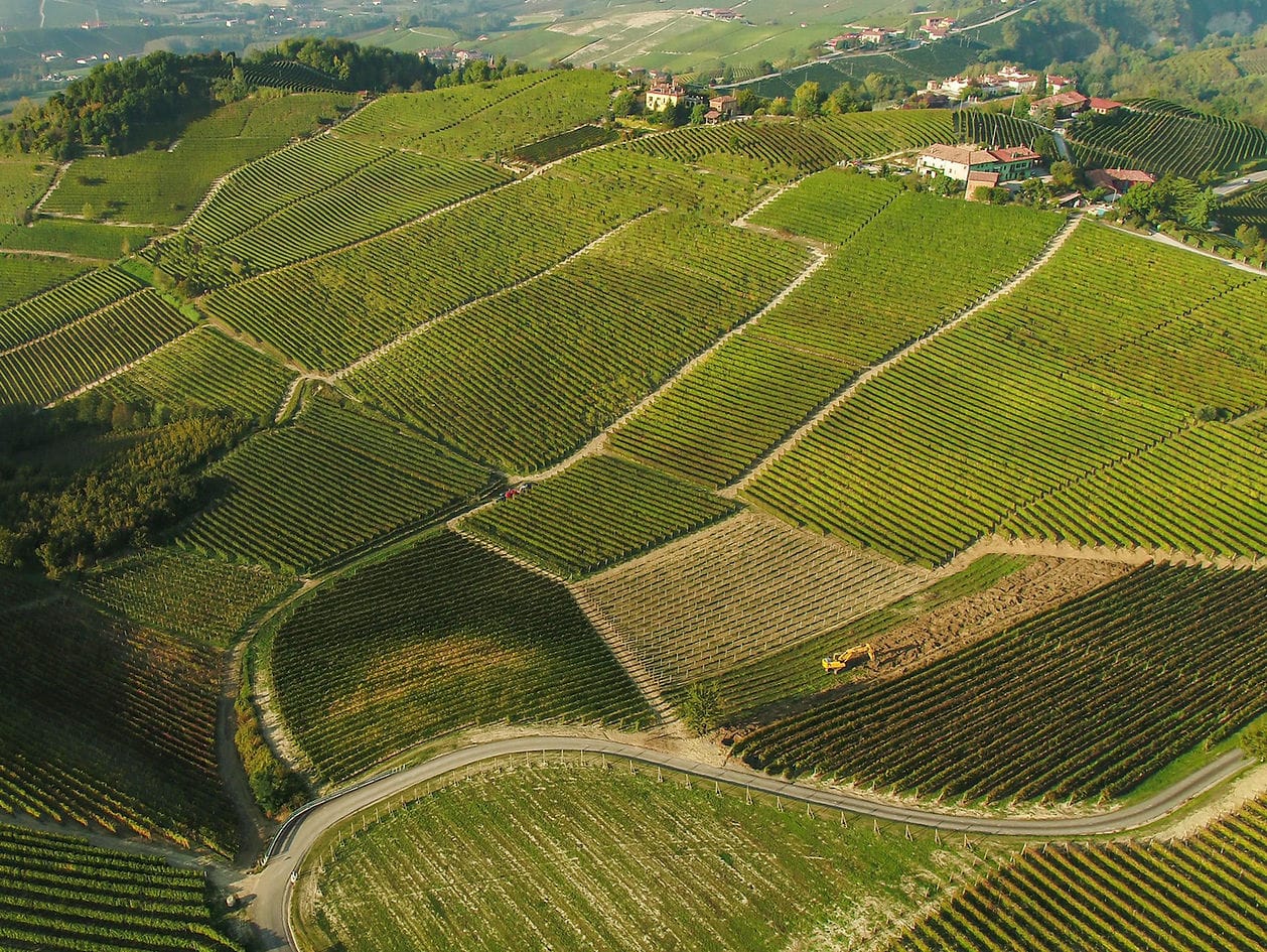 Stroppiana wijngaard piemonte barolo