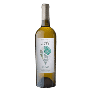 Domaine-de-joy-de-l-envie