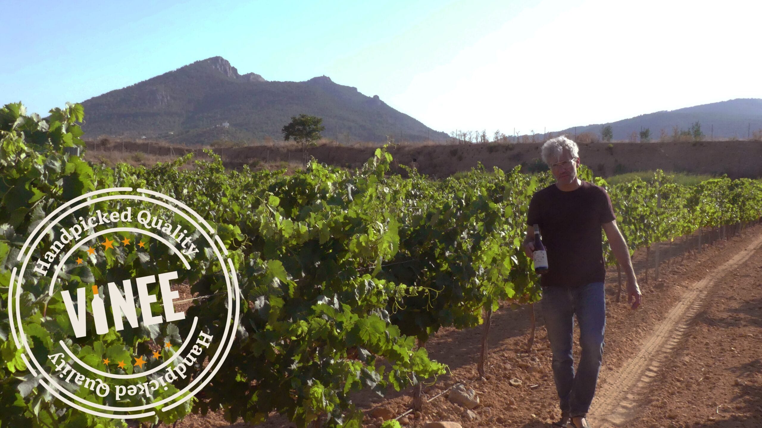 passio per la terra vinee by bt